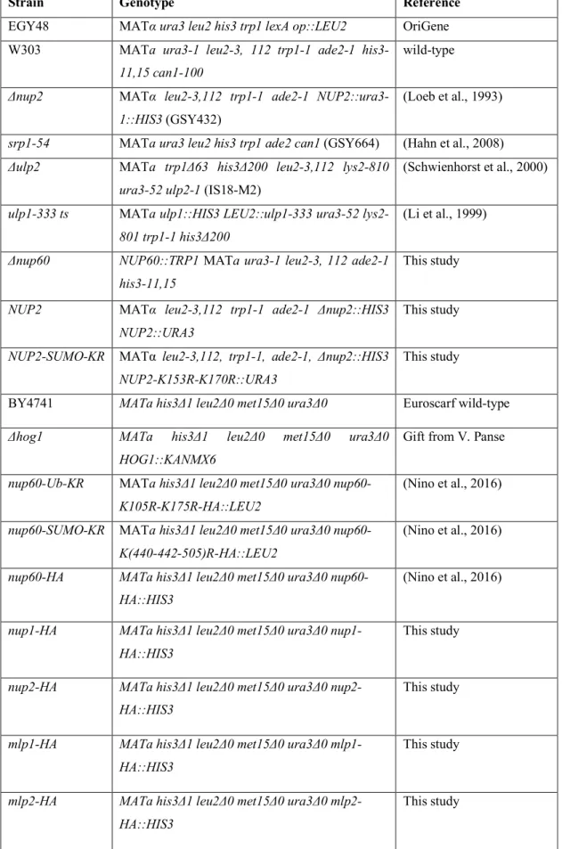 Table  S 1. S. cerevisiae strains used in this study 