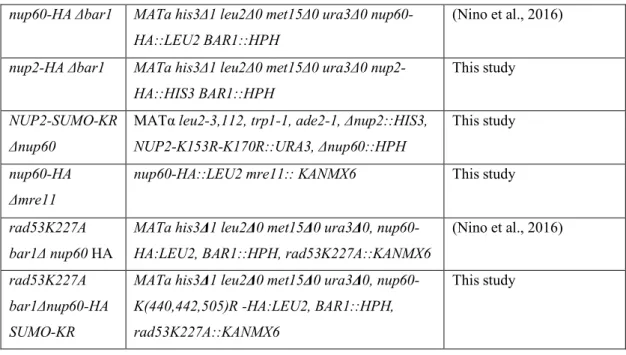 Table  S 2. Plasmids used in this study 