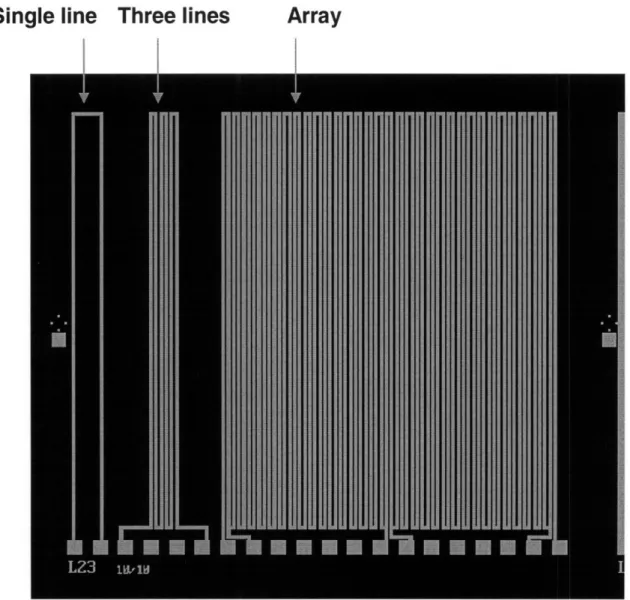Figure  3-6 - Close  up view of a line width and  space  module  with line width and  line space of 10 pm  and  density of 50%.