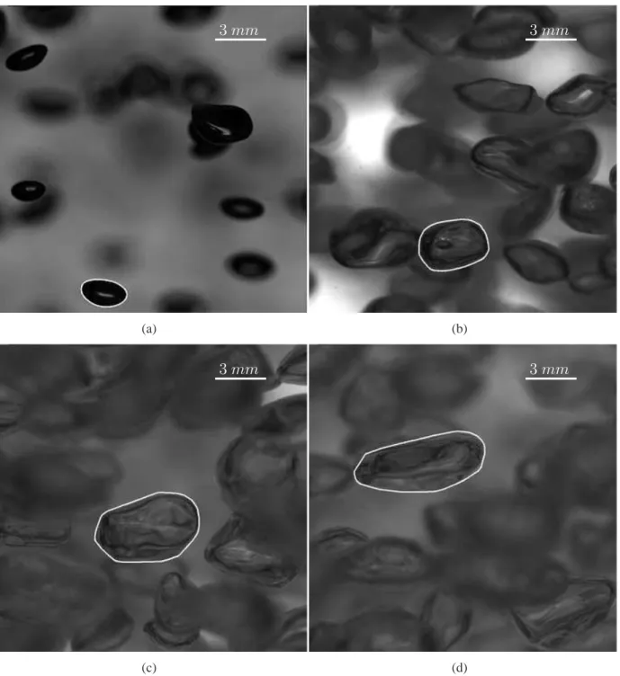 Figure 2: Typical shadow casting raw images with bubble detection denoted by a white line