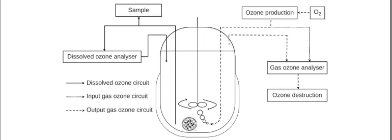 FIGURE 2. Sketch diagram of the batch reactor.