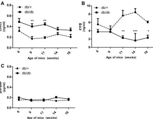 Figure 3.  Expression of serum LOXL2 and ETFβ in 6–16-week-old Leptin receptor-deficient db/db mice and  aged matched controls