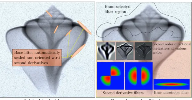 Figure 5: Our proof-of-concept user-guided image-smoothing tool applies an anisotropic Gaussian lters with a size and orientation computed on the y based on an estimate of the local Hessian.