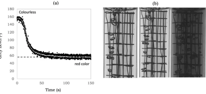 Figure 3. (a) Evolution of the averaged grey level of the liquid in the bubble column as a function of time