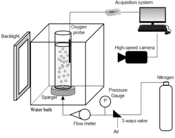 Figure 1. Experimental setup. 