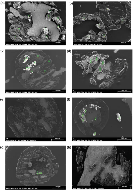 Figure 2. Scanning electron microscopy images from the granules samples. a) S 1 _ana#01; b) S 1 _ana#02; c) S 1 _ana#03; d) S 1 _ana#04;