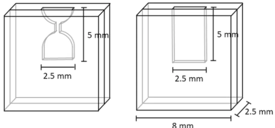 Figure 3.  Microcentrifuge microchip designs. Thickness of the chambers is 100 µ m.