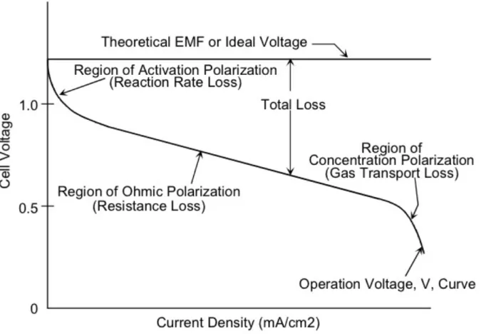 Figure 1-3. Representative fuel cell voltage-current polarization curve with theoretical  electromotive force (EMF) plotted as well