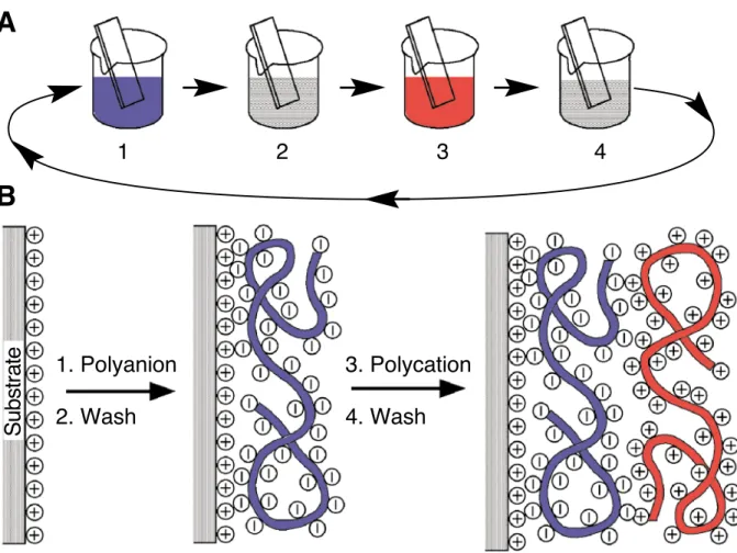Figure 1-10. Schematic of the layer-by-layer deposition process of polyelectrolyte thin-films