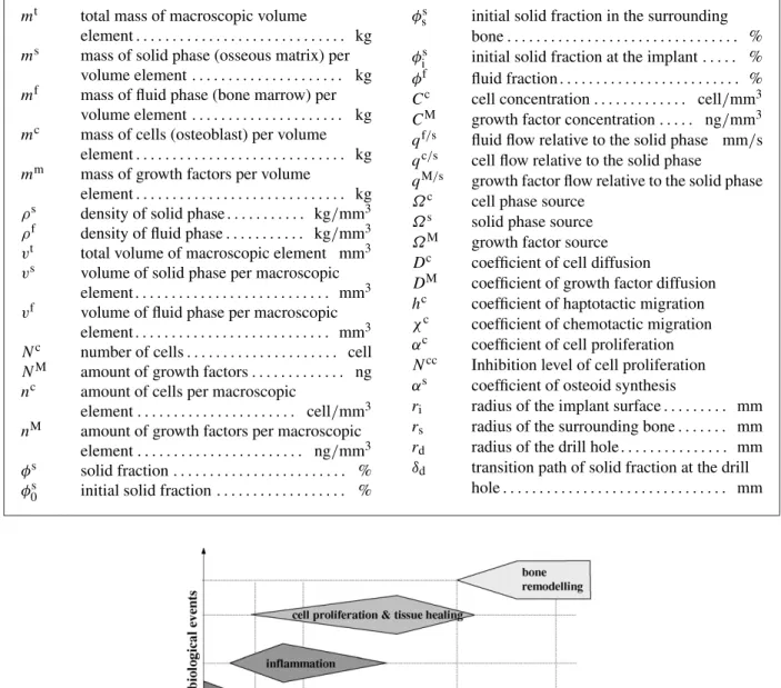 Fig. 1. Biological phases of tissue healing.