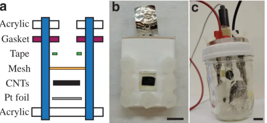 Figure 2-2: Experimental set up. a) Schematic of working electrode holder: the VA-CNT forest is mounted to a Pt foil current collector using acrylic plates and a plastic mesh to constrain the forest against the current collector