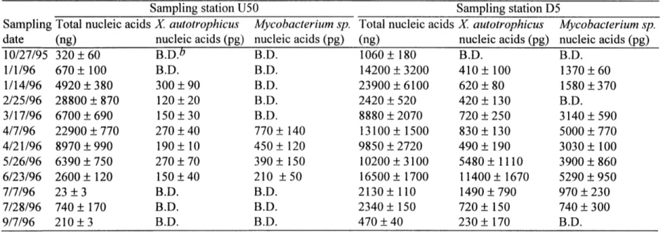 Table  3.  Total  nucleic acids, X  autotrophicus nucleic  acids, and Mycobacterium sp