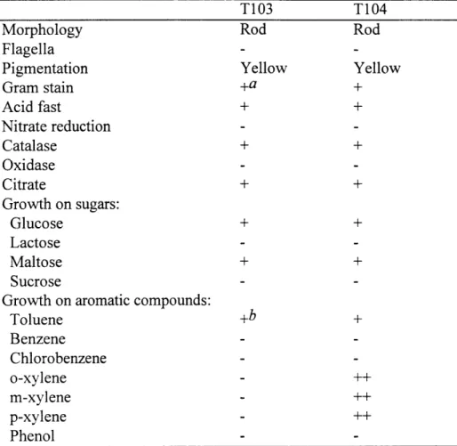 Table  1.  Characteristics  of toluene degrading  strains  T103  and T104