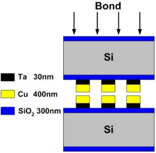 Fig. 3-2. Schematic cross-section of the aligned and bonded patterned lines for four-point bend tests