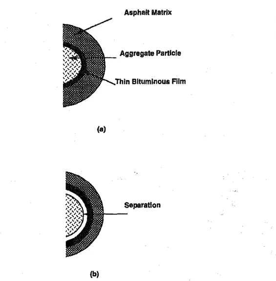 FIG.  1.  Idealized  Asphalt-Concrete  System:  (a)  Initial Condition;  and  (b)  Sepa- Sepa-ration  between  Asphalt Cement and Aggregate 