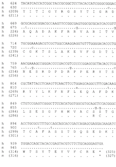 Figure  2.  Alignment  of  the  complete  deduced  sequence  of the  open  reading  frames  of  the  human  and  mouse  Pfetl genes