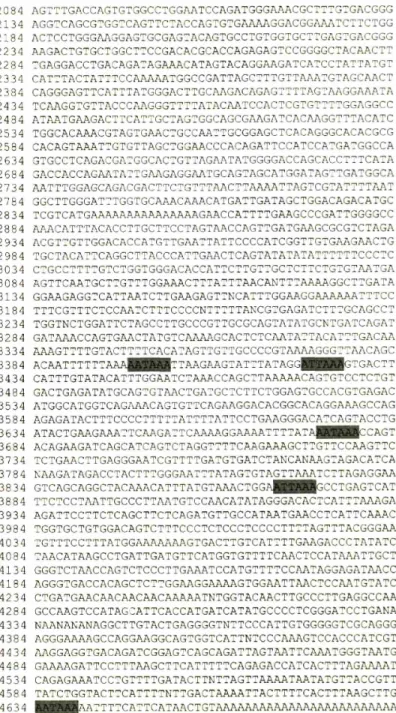 Figure 3. Nucleotide sequence of mouse PfeIl cDNA and its deduced amino acid sequence