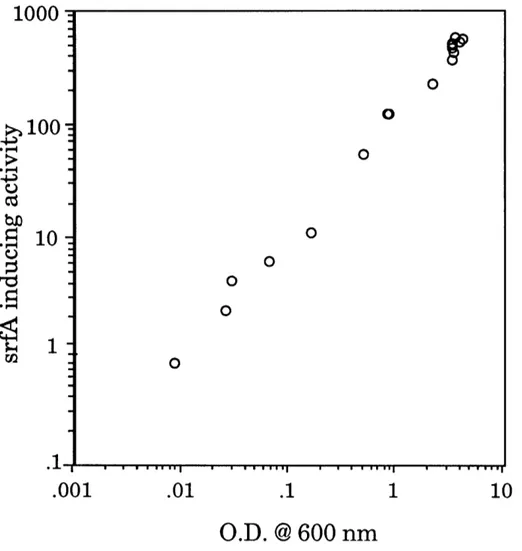 Figure  7.  srfA-inducing  activity increases  with cell density.  The srfA- srfA-inducing  activity  of conditioned medium  was plotted  versus  the  cell density  at which the  conditioned medium  was harvested