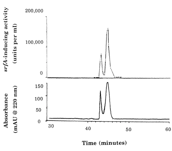 Figure  8.  Purification  of Pheromone.  The srfA-inducing  activity  (Top) and the  absorbance  at  220  nm (Bottom) are  shown for highly  purified  pheromone eluting  from an HPLC  C18 column in  a linear  gradient  of acetonitrile  in 0.1%