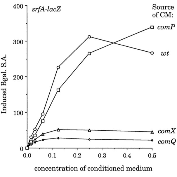 Figure  11.  srfA-inducing activity  of conditioned  media. Strains with comX and comQ mutations  were defective in the production  of srfA-inducing activity