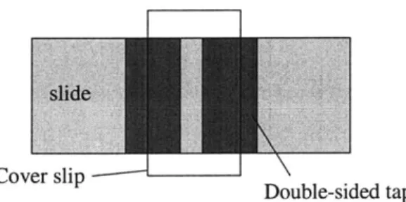 Figure 3-2.  Slide assembly  for viewing  solution