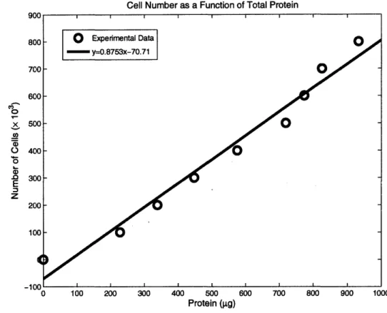 Figure  4:  Total  Protein  Standard  Curve.  Cell  number  is This  curve  can  be  used  directly  to  determine  how  many  cells  are measurement.