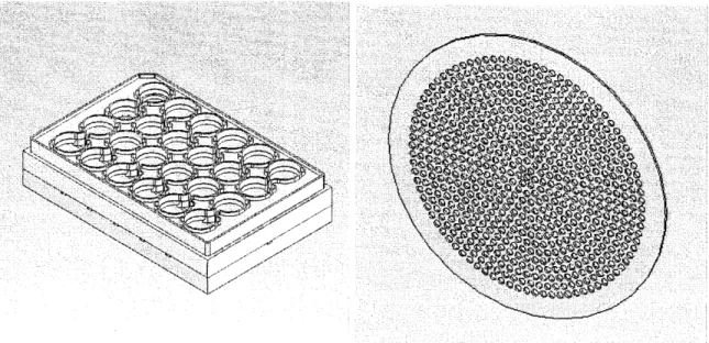 Figure  1:  The  MNultiwell  bioreactor  and  a  Scaffold.  (a)  CAD  model  of bioreactor
