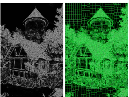Fig. 1.5 Grids computed using Huang’s approach [15]. Importance map (left) and the grid derived from the importance map (middle) and maximum cell size constraints