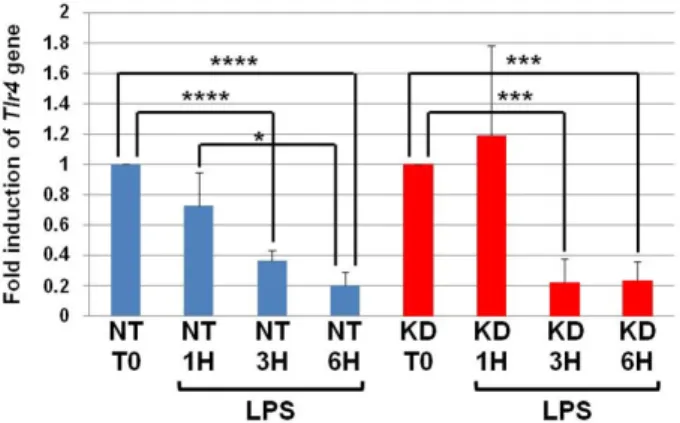 Figure 3. The levels of Tlr4 mRNA decrease in NT and PC1/3 KD macrophages challenged with LPS