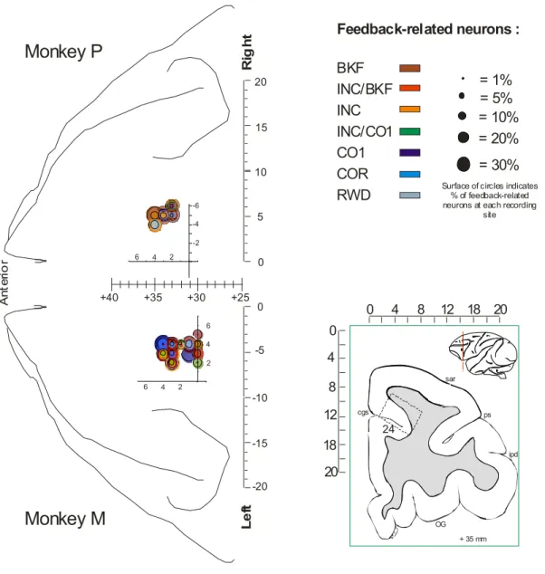Figure S2. Locations and proportions of feedback-related activity  for each recording site in the two  monkeys