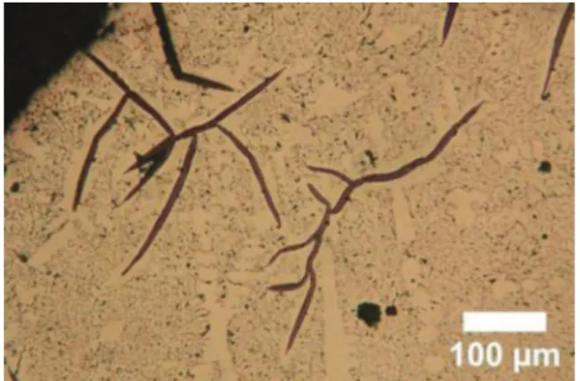 Fig. 10. Bright ﬁeld TEM image of a graphite ﬂake showing successive segments of different orientations along the length of the ﬂake.