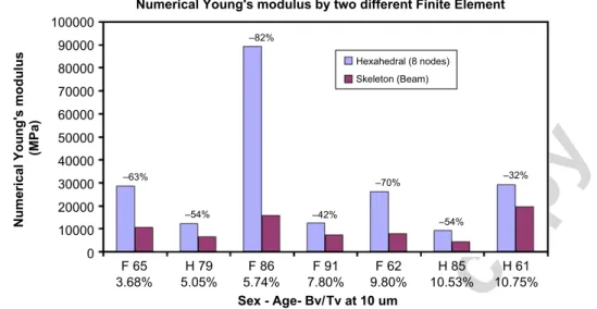 Fig. 8. Comparison between numerical Young’s modulus obtained by hexahedral element and by beam element (elastic law behavior)