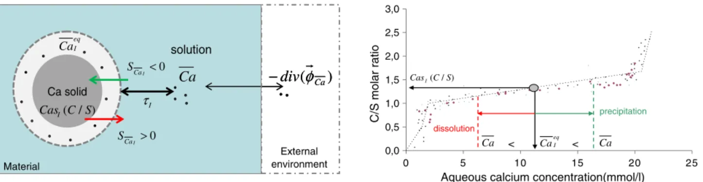 Fig 7. Local and macroscopic exchanges of calcium between solid phases and liquid.