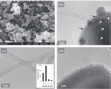 Fig. 2 – Raman spectra of the samples; from bottom to top: composite powder and sintered composite C2 (a); as-prepared DWCNTs, composite powder and sintered composite C3 (b); as-prepared DWCNTs, functionalized DWCNTs, composite powder and sintered composit