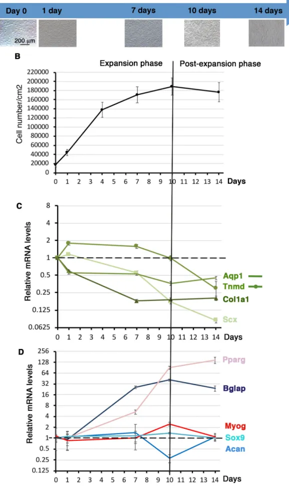 Fig. 3. See next page for legend.