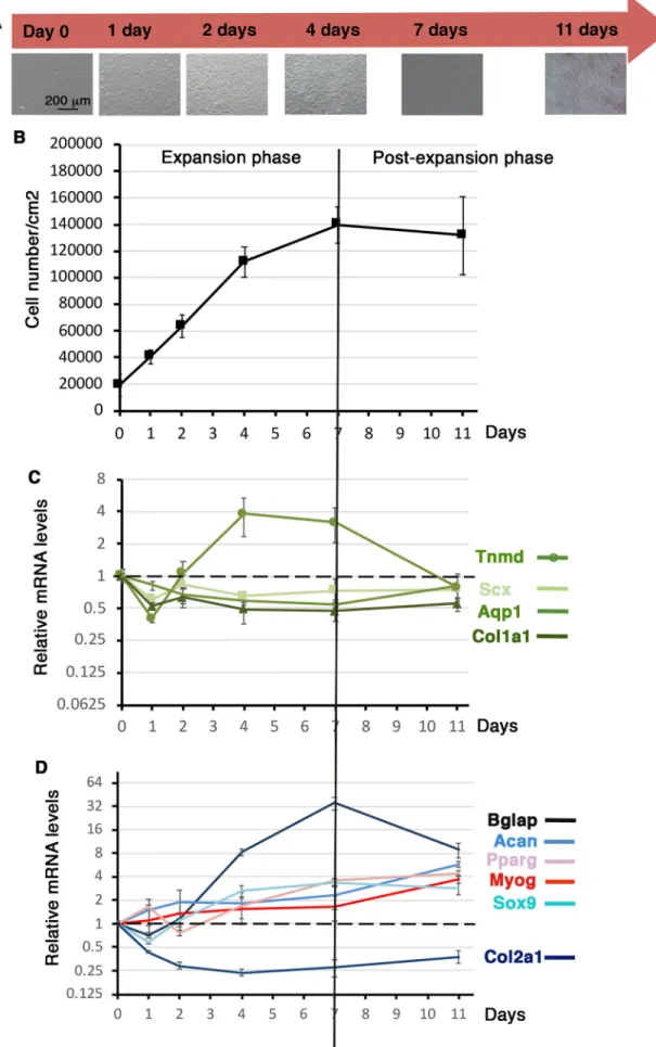 Fig. 4. See next page for legend.