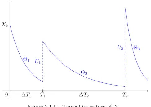 Figure 2.1.1  Typical trajectory of X .