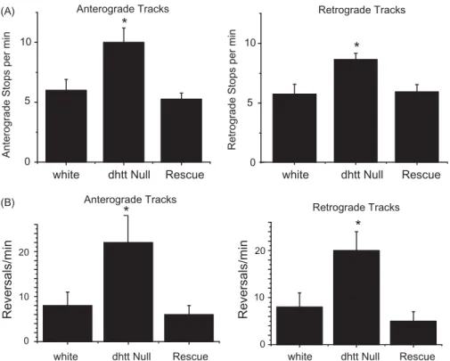 Figure 4. Track analysis for anterograde and retrograde moving mitochondria in control white larvae, dhtt / , and dhtt / expressing a dhtt full-length rescue con- con-struct