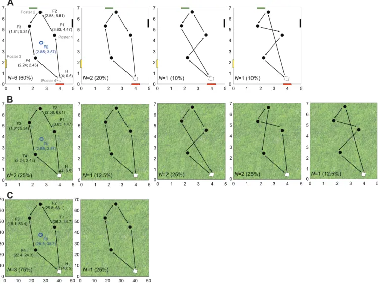 Fig. 1. Arrays of flowers and geometry of favourite sequences. Data are shown for (A) experiment 1, small array of flowers in the laboratory; (B) experiment 2, small array of flowers in the field, and (C) experiment 3, large array of flowers in the field