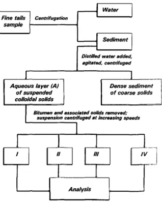 Figure  1.  Treatment scheme for fine tails. 