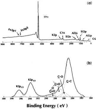 Figure  5b  shows  an  example  of the  deconvolution  of the C 1 s peak envelope into different functionalities