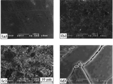 FIGURE I.46 : Images MEB de substrats alumine a) avant et après traitements sous Ar/H 2 O pendant 10h à  b) 1500°C, c) 1600°C et d) 1700°C [Tai 99 ]