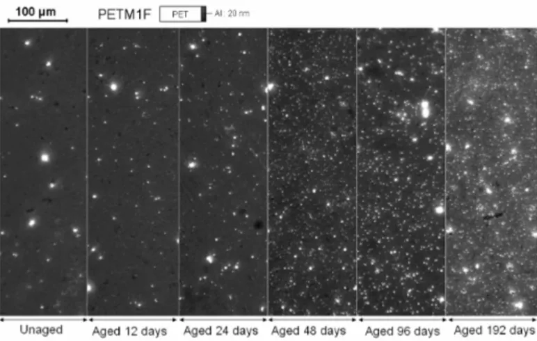 Figure II.15  Observation au microscope optique des lms de PET M1F 20 nm suivant leur vieillisse- vieillisse-ment, Garnier [23]