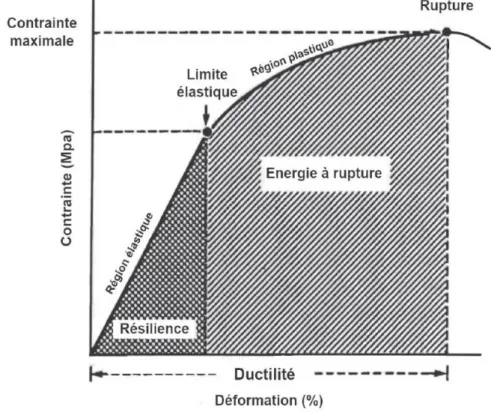 Figure I.13 – Courbe contrainte/déformation caractéristique d’un essai de compression.