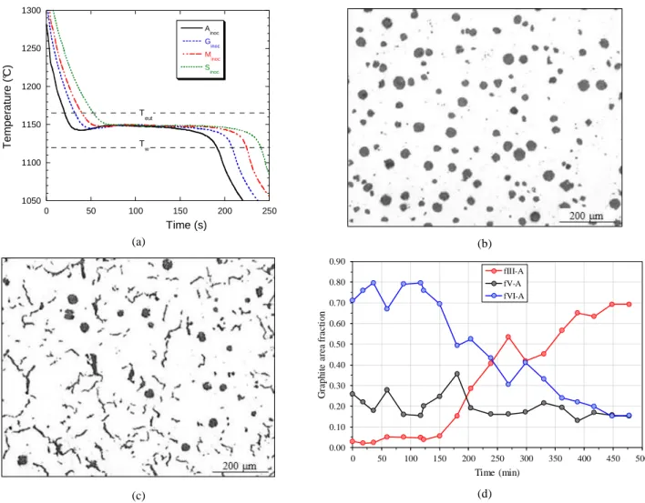 Fig. 2 - Inoculated samples: cooling curves of a few selected trials (a), graphite distribution in samples A inoc  (b) and S inoc  (c), and  evolution of the relative fractions of compacted and nodular graphite (d)