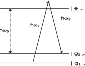 FIG. 1: Principle of atom diffraction by laser using a Raman process: the atom absorbs a photon of energy ¯ hω 1 and emits a photon of energy ¯ hω 2 by stimulated emission, thus making a transition from state | g 1 i to state | g 2 i 