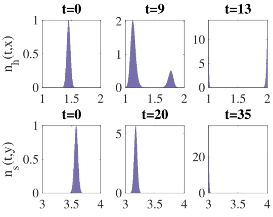 Figure 7: Behaviour of HSCs (first row) and stromal cells (second row) in time. Stromal cells with lowest support capacity are selected