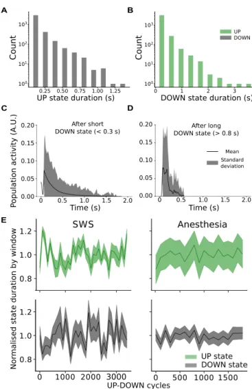 Figure S1: UP and DOWN state statistics in experimental data. (A-D) Slow-wave sleep data from human temporal cortex
