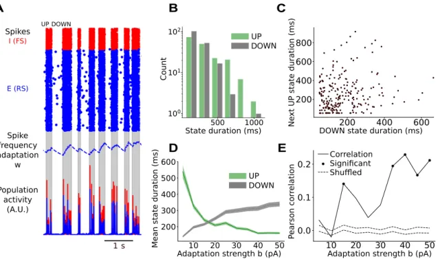 Figure S2: UP and DOWN states in adaptive exponential integrate-and-fire model. (A) Spikes and population activity produced by a spiking model of a RS  (blue)-FS (red) neuron network with spike-frequency adaptation on RS cells (blue, dashed line) exhibit U