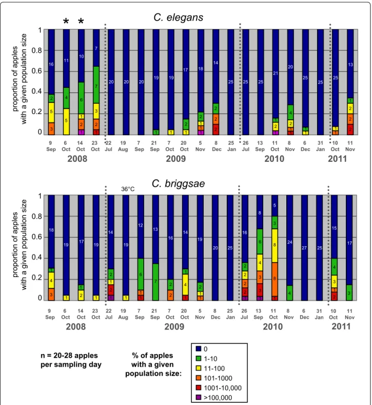 Figure 5 Temporal distribution of C. elegans (top) and C. briggsae (bottom) abundance in Orsay apples along four consecutive years.